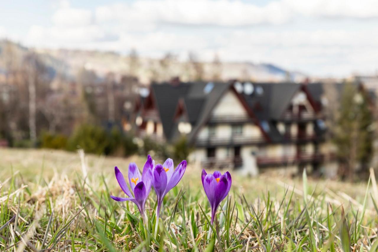 Tatrytop Pod Lipkami Apartment Zakopane Exterior photo